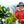 Load image into Gallery viewer, -20% Ecuador La Papaya Reserve - natural | LAST BATCH 18/09