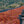 Load image into Gallery viewer, Rwanda Bwenda - washed