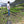 Load image into Gallery viewer, -20% Ecuador La Papaya Reserve - natural | LAST BATCH 18/09