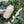 Load image into Gallery viewer, Die Blüten werden in Gläsern gesammelt, in denen sie fermentiert werden