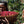 Load image into Gallery viewer, Organic EspressoBlend St. Pöltner Röstung FTO