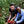 Load image into Gallery viewer, Organic EspressoBlend St. Pöltner Röstung FTO
