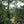Load image into Gallery viewer, Organic EspressoBlend St. Pöltner Röstung FTO
