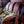 Load image into Gallery viewer, Organic EspressoBlend St. Pöltner Röstung FTO