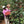 Load image into Gallery viewer, Organic EspressoBlend St. Pöltner Röstung FTO