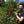 Load image into Gallery viewer, Organic EspressoBlend St. Pöltner Röstung FTO