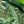 Load image into Gallery viewer, Organic EspressoBlend St. Pöltner Röstung FTO