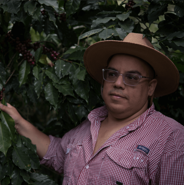 Guatemala La Labor - washed