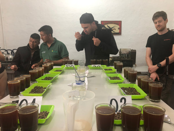 Kolumbien Inza Regional - fully washed ESPRESSO