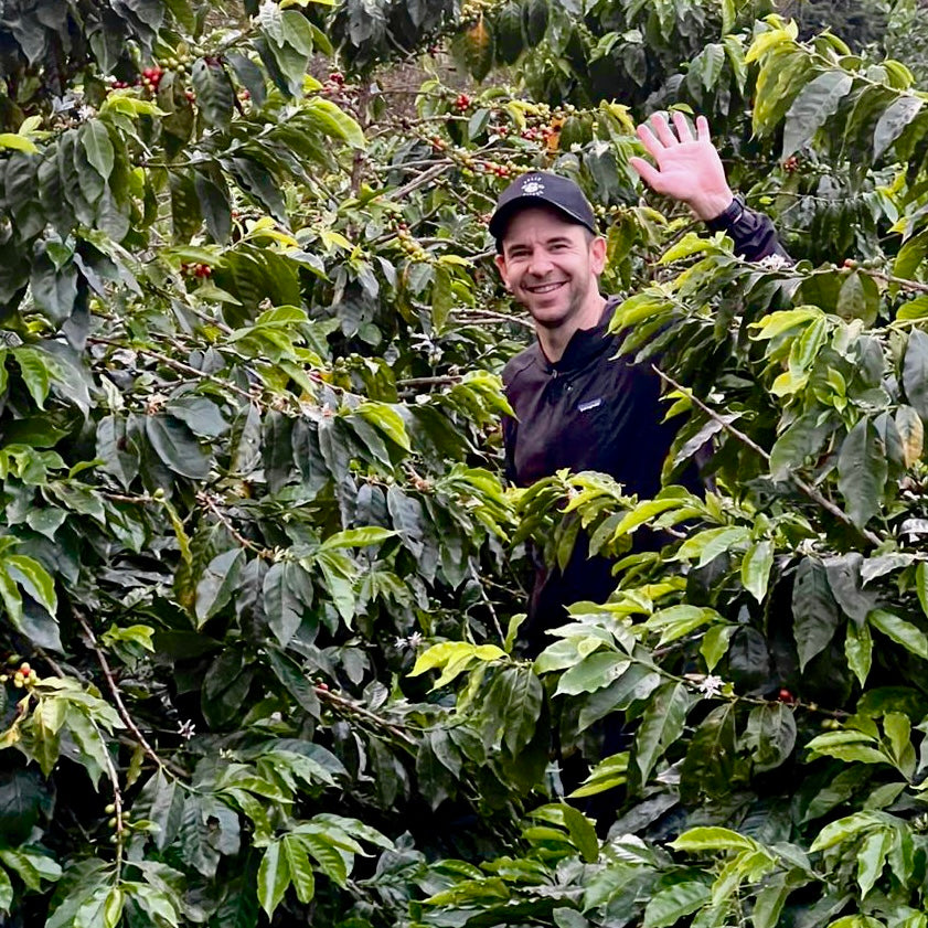 Felix inmitten von Kaffeebäumen