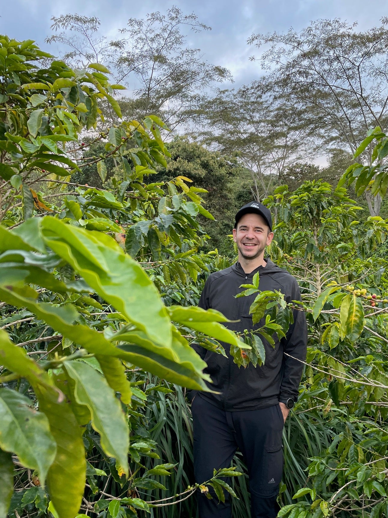 Kolumbien El Paraiso P02 Red Plum - P02 processing