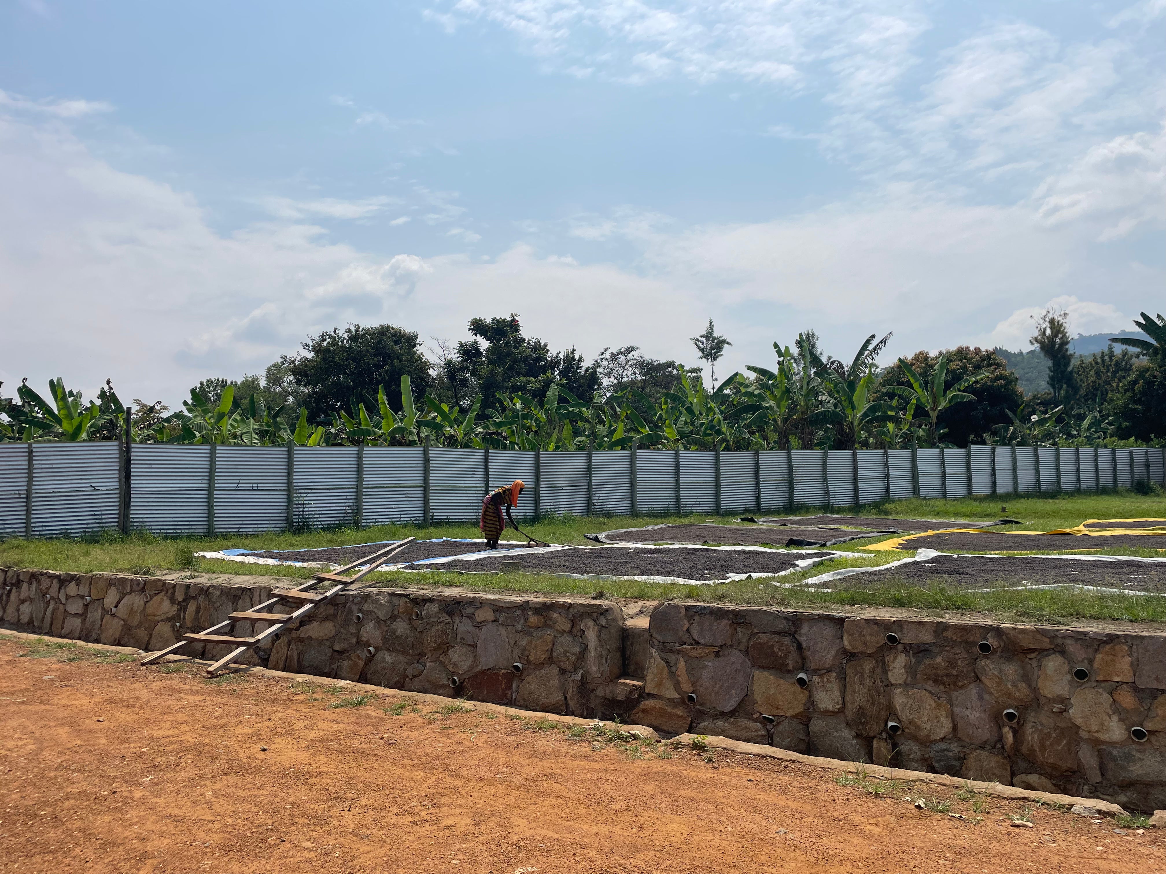 Uganda Mount Elgon - natural