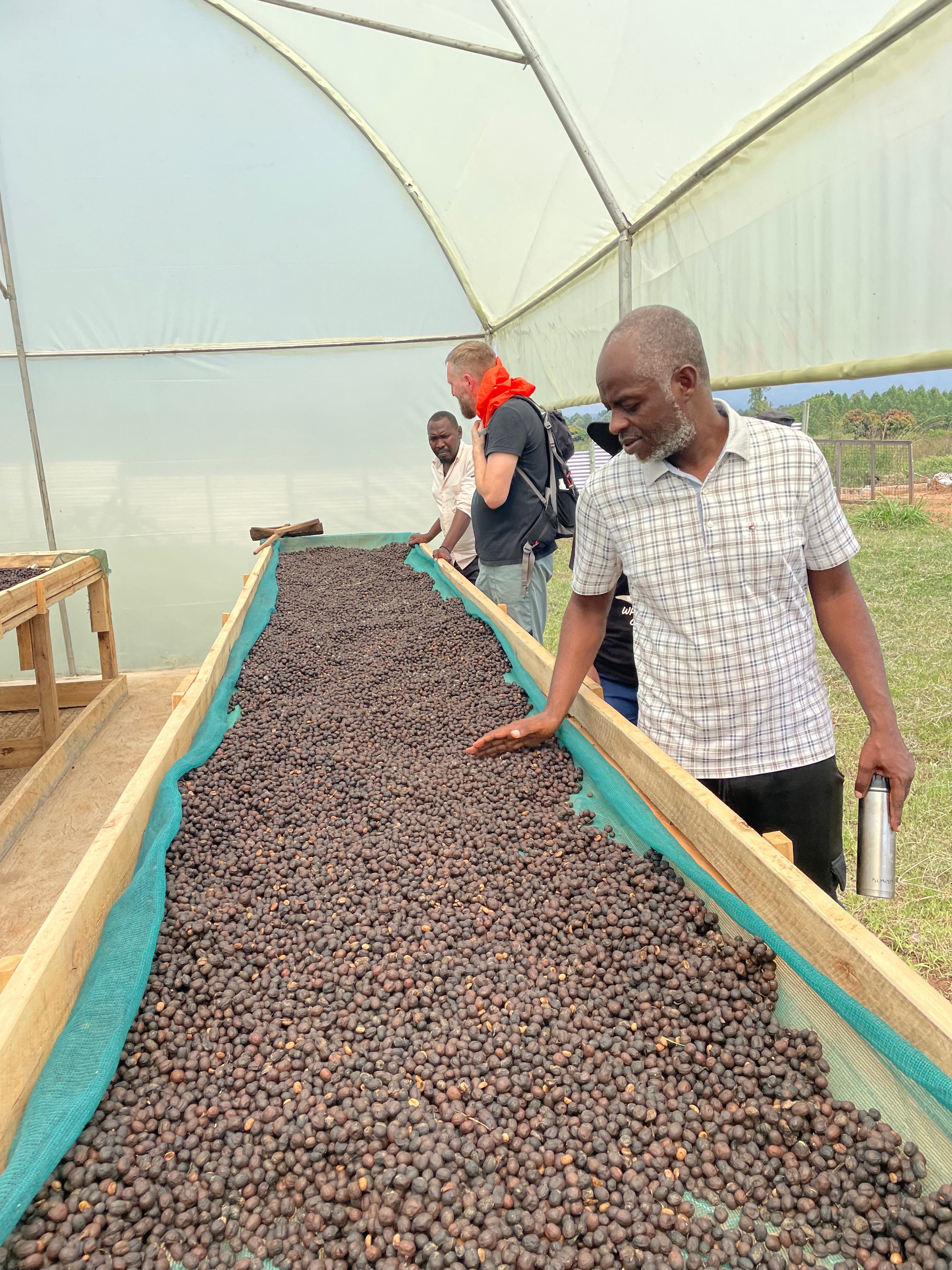 Uganda Mount Elgon - natural