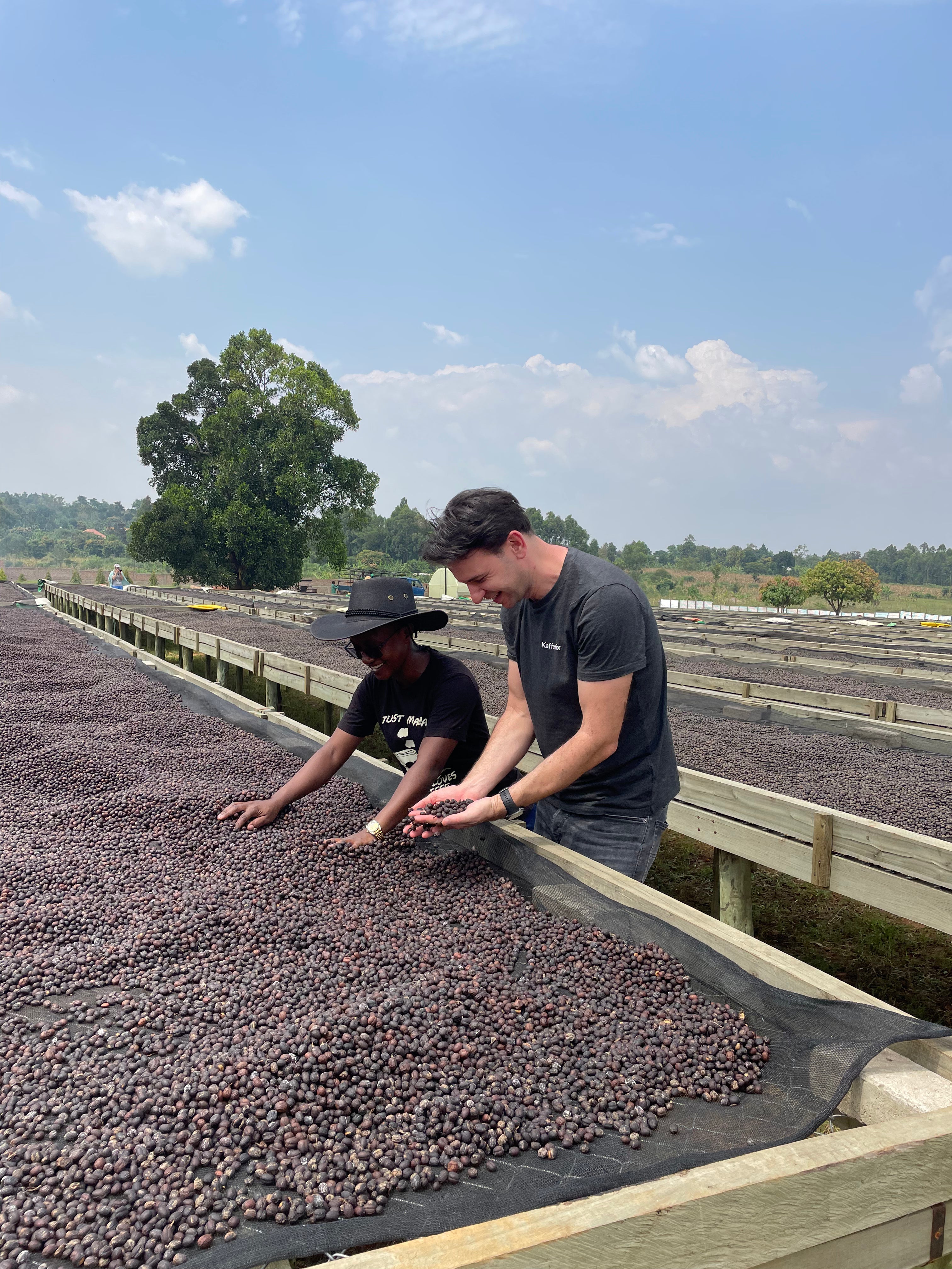 Uganda Mount Elgon - natural