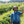 Load image into Gallery viewer, Kaffee-Farmer in Cerrado
