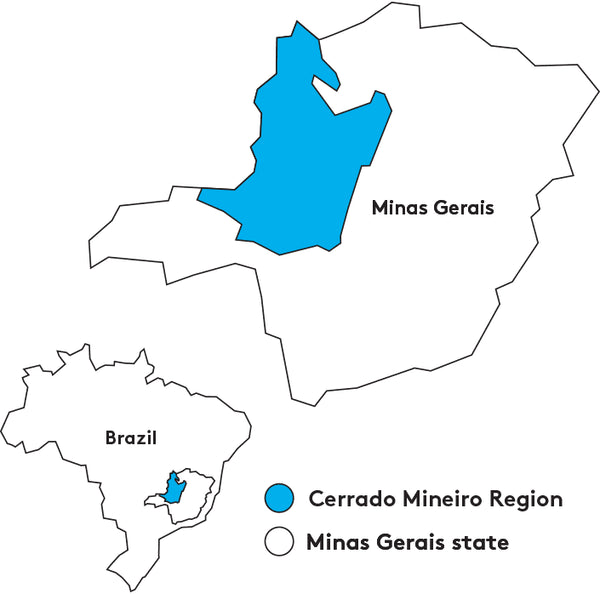 Lage der Region Cerrado Mineiro Region in Minas Gerais