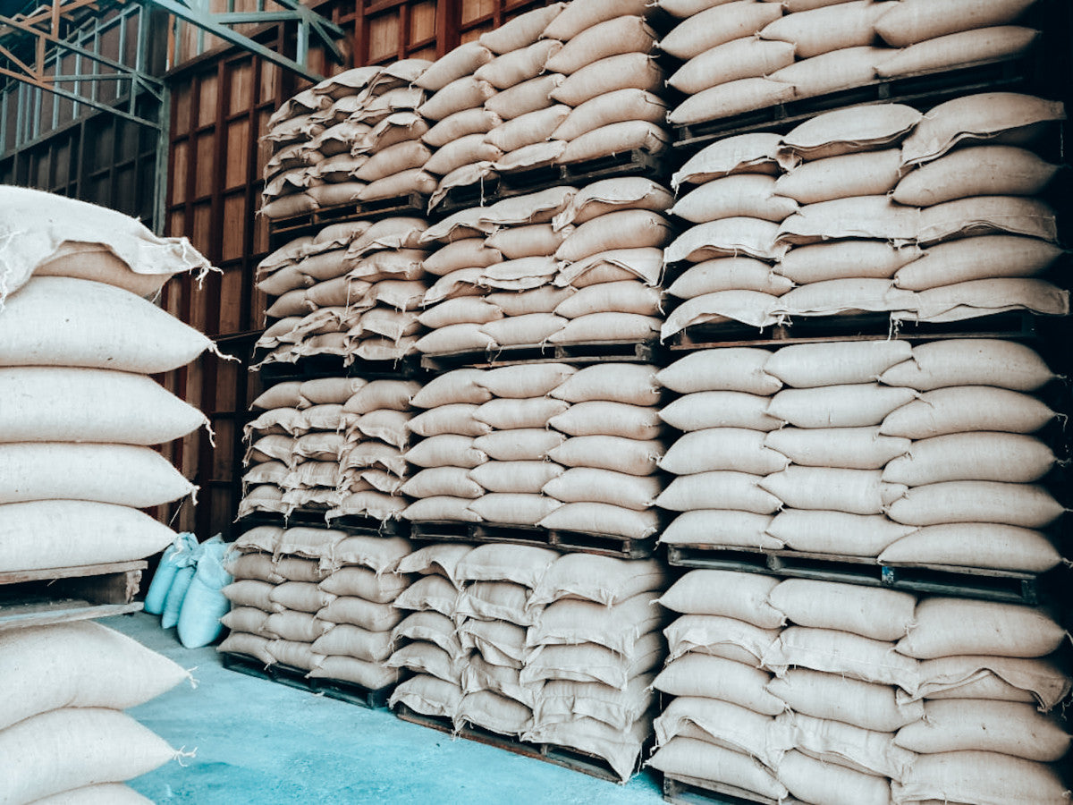 X-MAS SPECIAL: Costa Rica Cordillera de Fuego - anaerobic honey