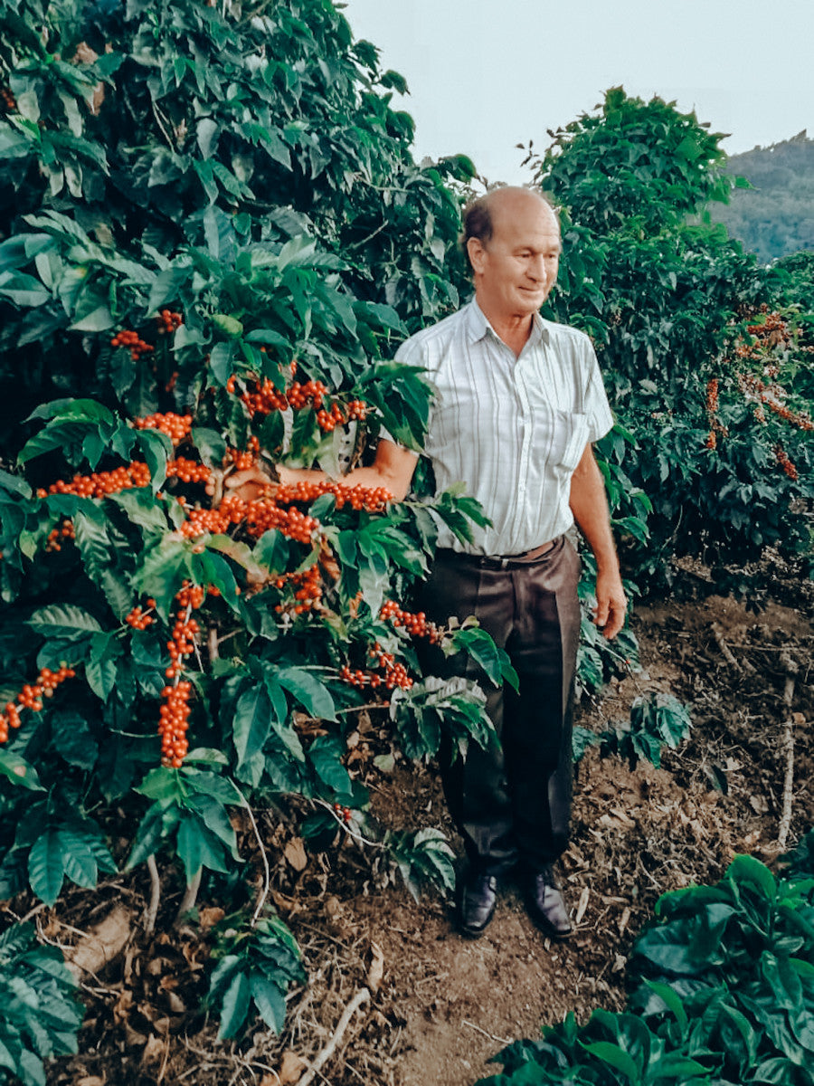 X-MAS SPECIAL: Costa Rica Cordillera de Fuego - anaerobic honey