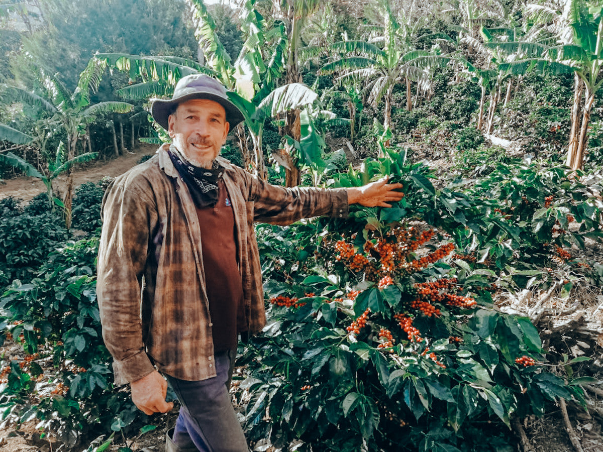 X-MAS SPECIAL: Costa Rica Cordillera de Fuego - anaerobic honey