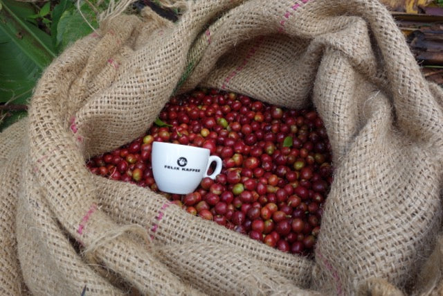 Organic EspressoBlend St. Pöltner Röstung FTO