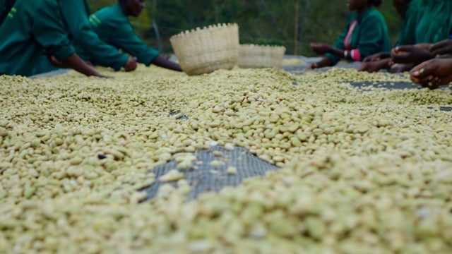 Organic EspressoBlend St. Pöltner Röstung FTO