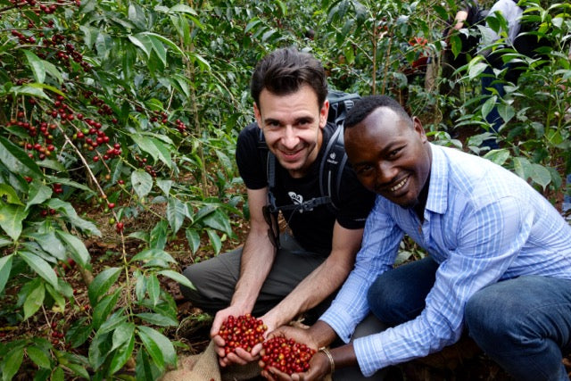 Organic EspressoBlend St. Pöltner Röstung FTO