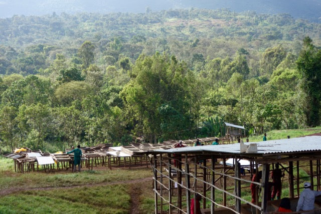 Organic EspressoBlend St. Pöltner Röstung FTO