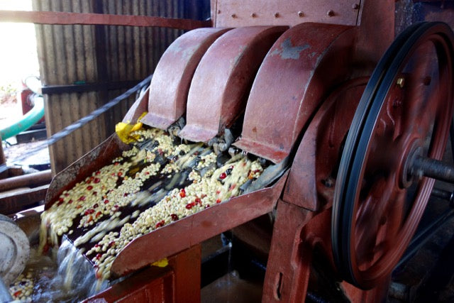 Organic EspressoBlend St. Pöltner Röstung FTO