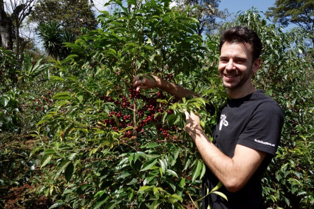 Organic EspressoBlend St. Pöltner Röstung FTO