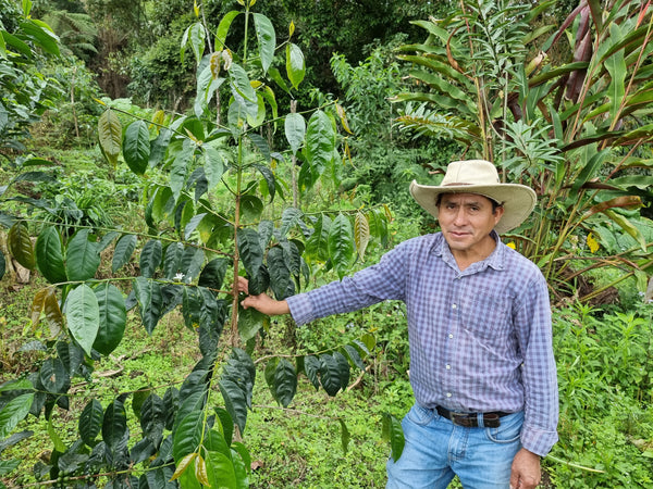 Peru Marcelino Chinguel - natural