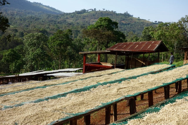 Organic EspressoBlend St. Pöltner Röstung FTO